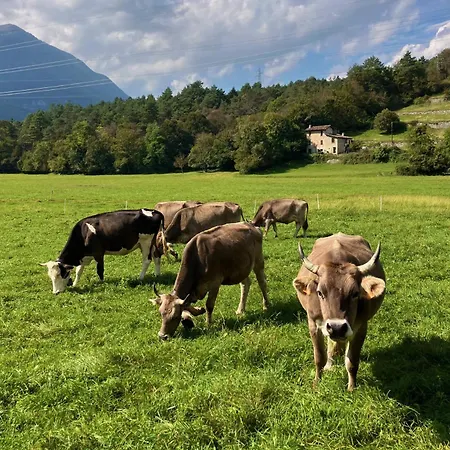 Passer Relais Bistrot ホテル *